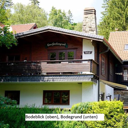 Ferienwohnungen Forellengrund Schierke Kültér fotó